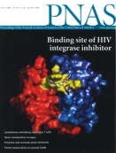 Synergistic anti-HCV broadly neutralizing human monoclonal antibodies with independent mechanisms - image